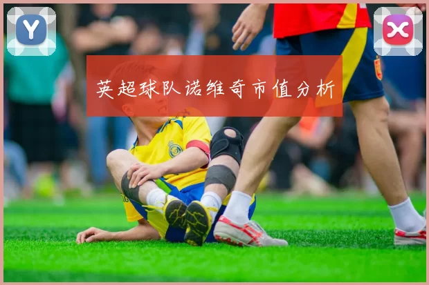 英超球队诺维奇市值分析