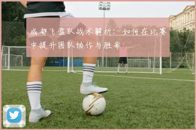 成都飞盘队战术解析：如何在比赛中提升团队协作与胜率