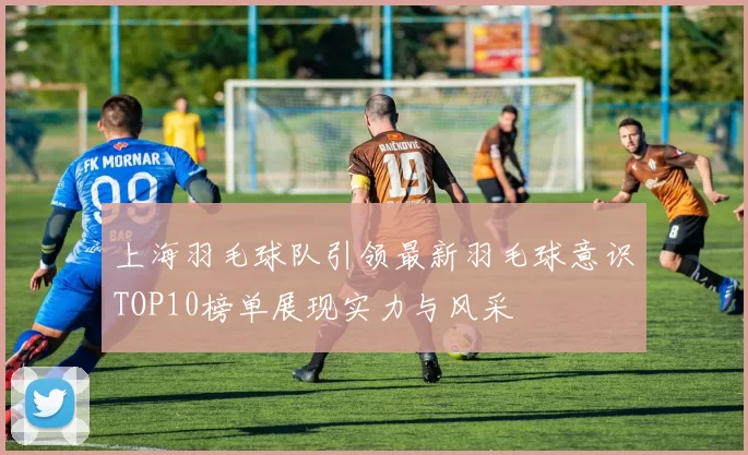 上海羽毛球队引领最新羽毛球意识TOP10榜单展现实力与风采