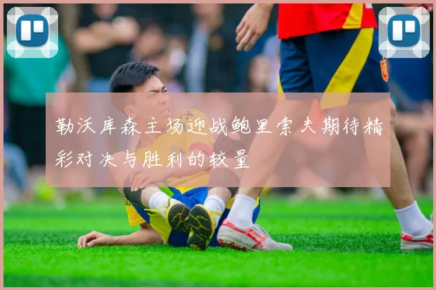 勒沃库森主场迎战鲍里索夫期待精彩对决与胜利的较量