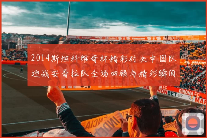 2014斯坦科维奇杯精彩对决中国队迎战安哥拉队全场回顾与精彩瞬间分析