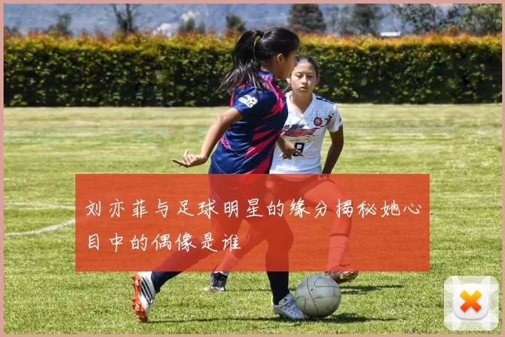 刘亦菲与足球明星的缘分揭秘她心目中的偶像是谁