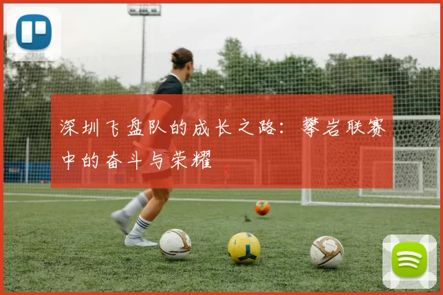深圳飞盘队的成长之路：攀岩联赛中的奋斗与荣耀