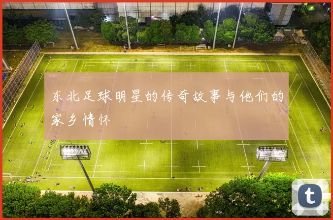 东北足球明星的传奇故事与他们的家乡情怀