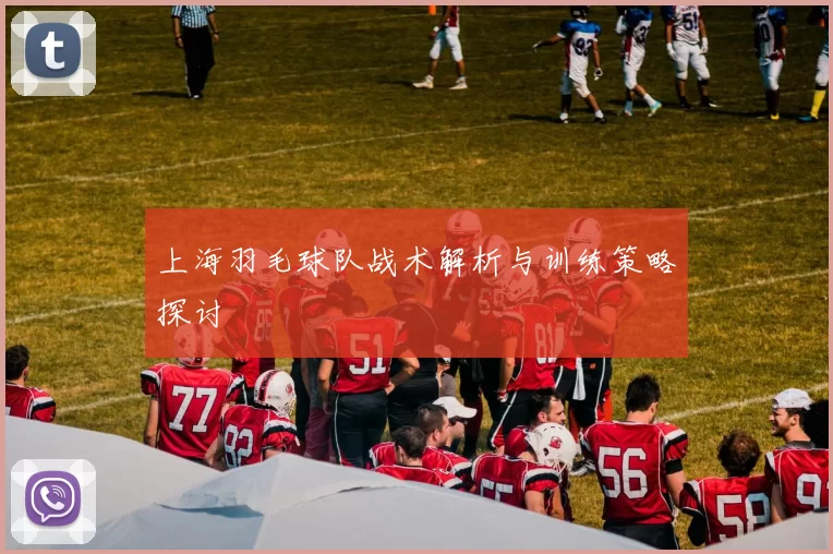 上海羽毛球队战术解析与训练策略探讨