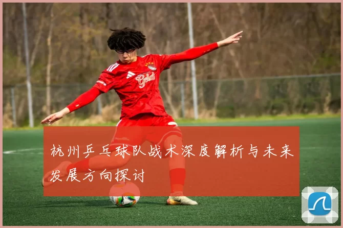 杭州乒乓球队战术深度解析与未来发展方向探讨