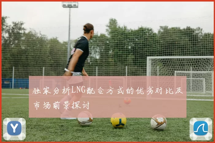 独家分析LNG配合方式的优劣对比及市场前景探讨