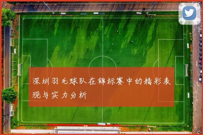 深圳羽毛球队在锦标赛中的精彩表现与实力分析