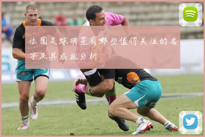 法国足球明星有哪些值得关注的名字及其成就分析