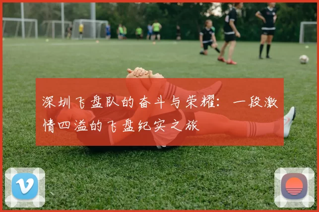 深圳飞盘队的奋斗与荣耀：一段激情四溢的飞盘纪实之旅