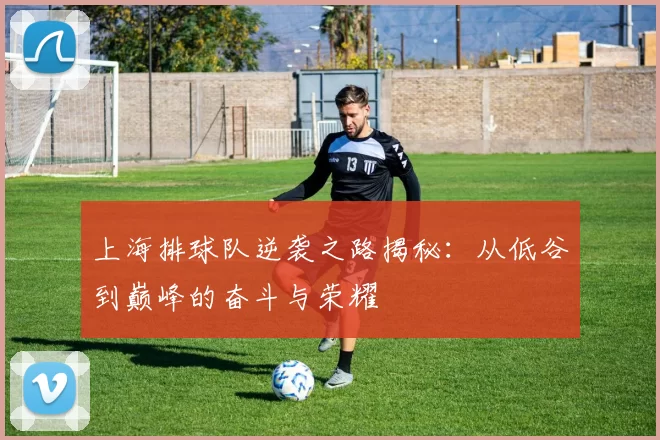 上海排球队逆袭之路揭秘：从低谷到巅峰的奋斗与荣耀
