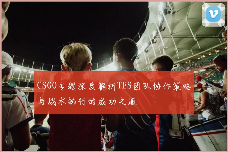 CSGO专题深度解析TES团队协作策略与战术执行的成功之道