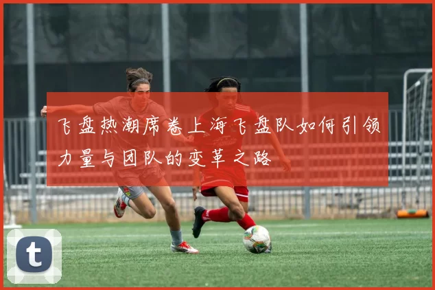 飞盘热潮席卷上海飞盘队如何引领力量与团队的变革之路