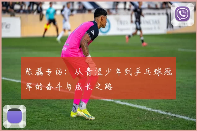 陈磊专访：从青涩少年到乒乓球冠军的奋斗与成长之路