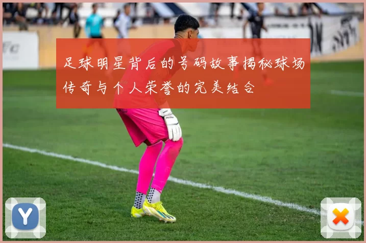 足球明星背后的号码故事揭秘球场传奇与个人荣誉的完美结合