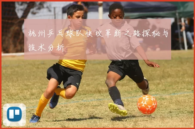 杭州乒乓球队快攻革新之路探秘与技术分析