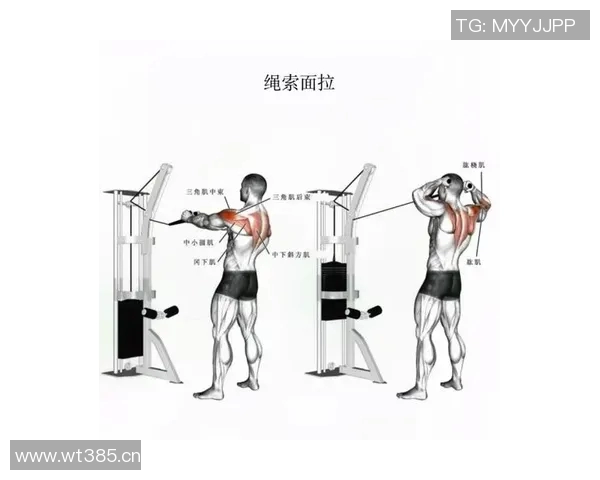 肩举健身器材功能介绍及常见训练动作解析